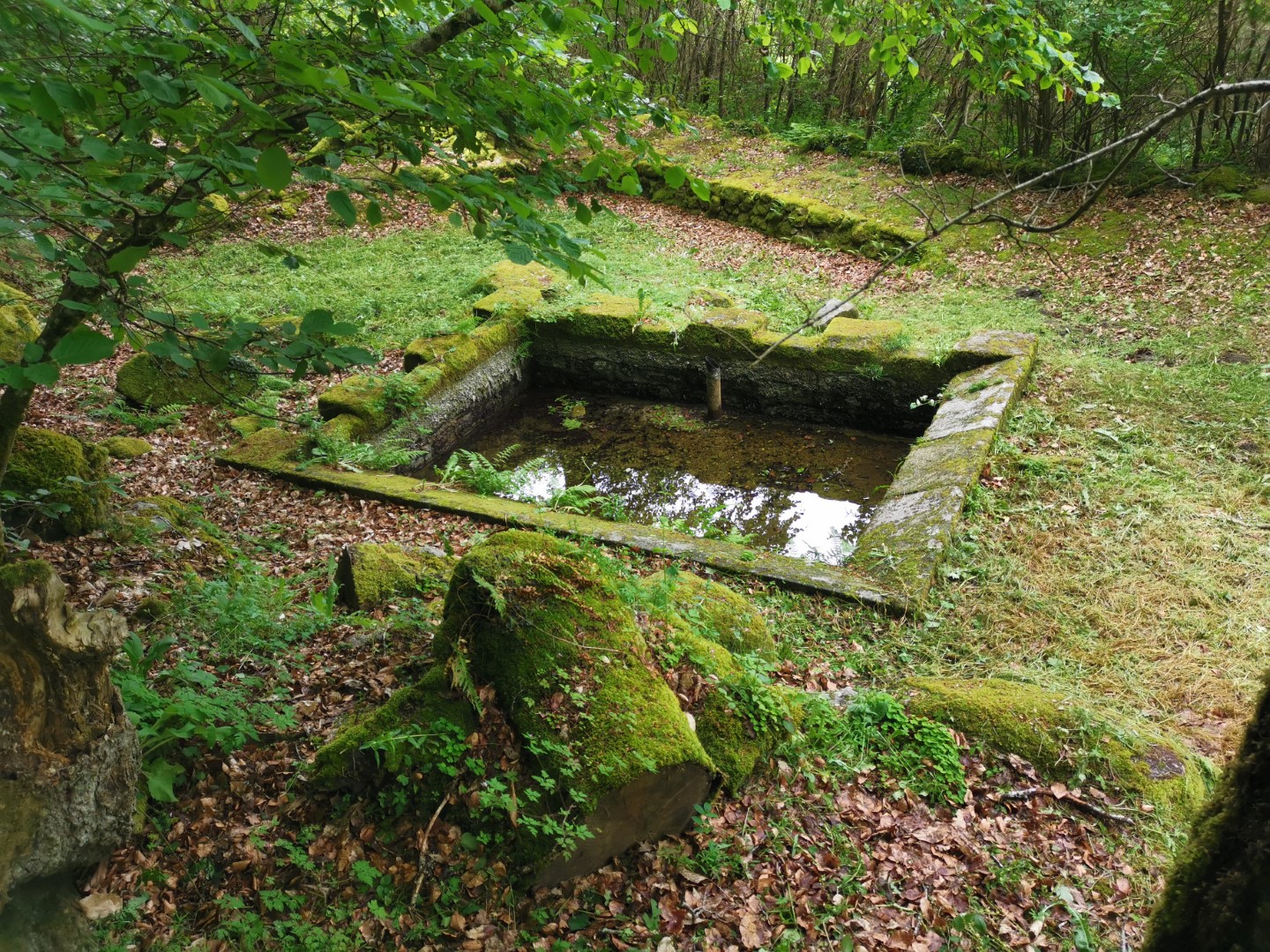 Boucle Locale N°52 Sardent et la vallée de la Gosne, Sardent - photo 6