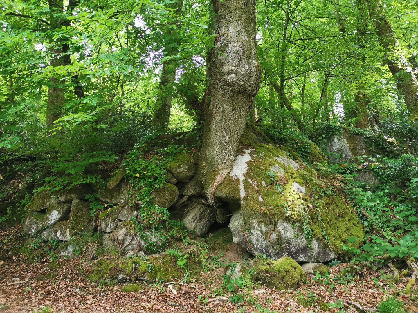 Boucle Locale N°52 Sardent et la vallée de la Gosne, Sardent - photo 3