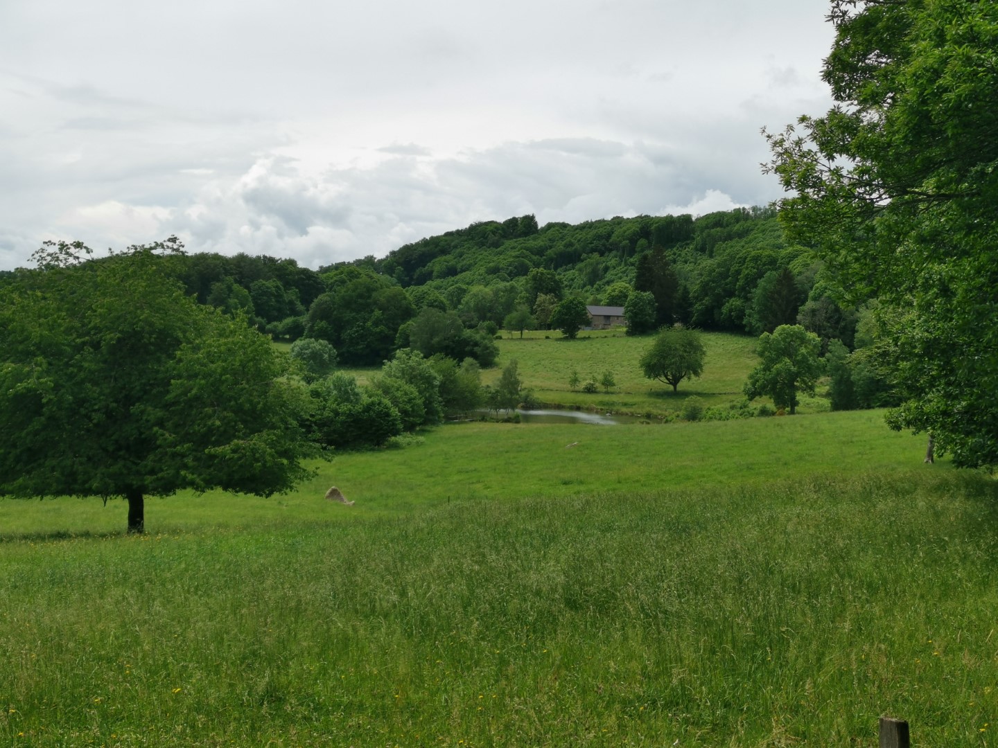 Boucle Locale N°52 Sardent et la vallée de la Gosne, Sardent - photo 7