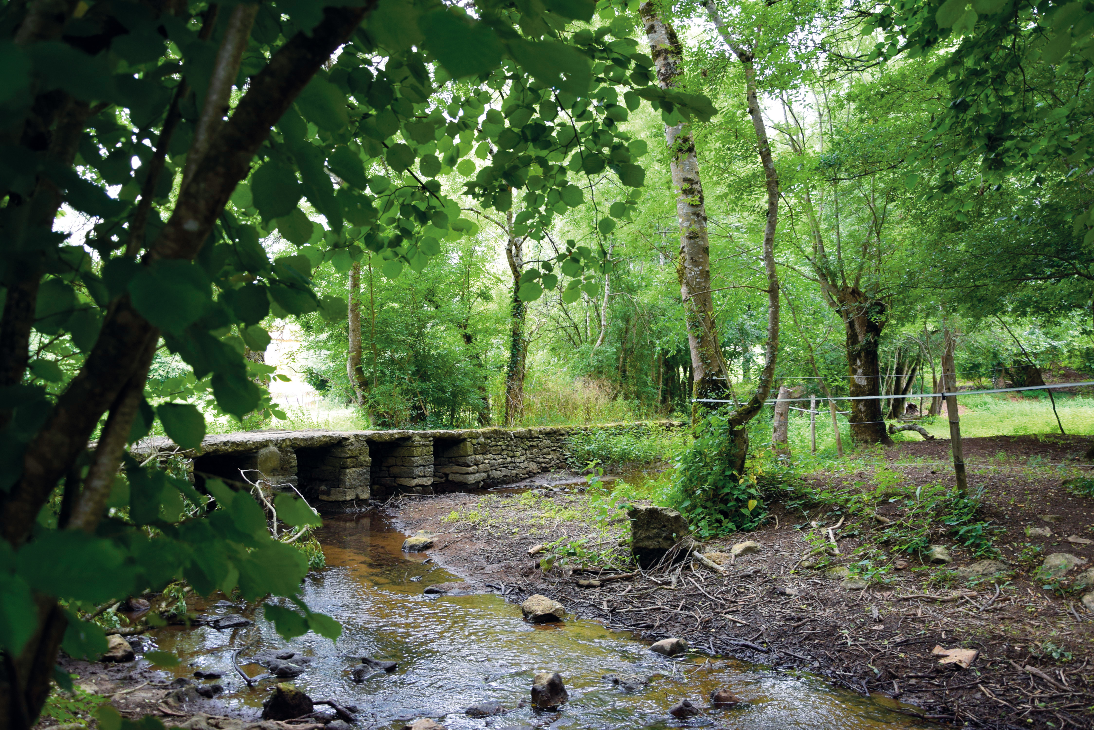 Parcours découverte : Bougouin