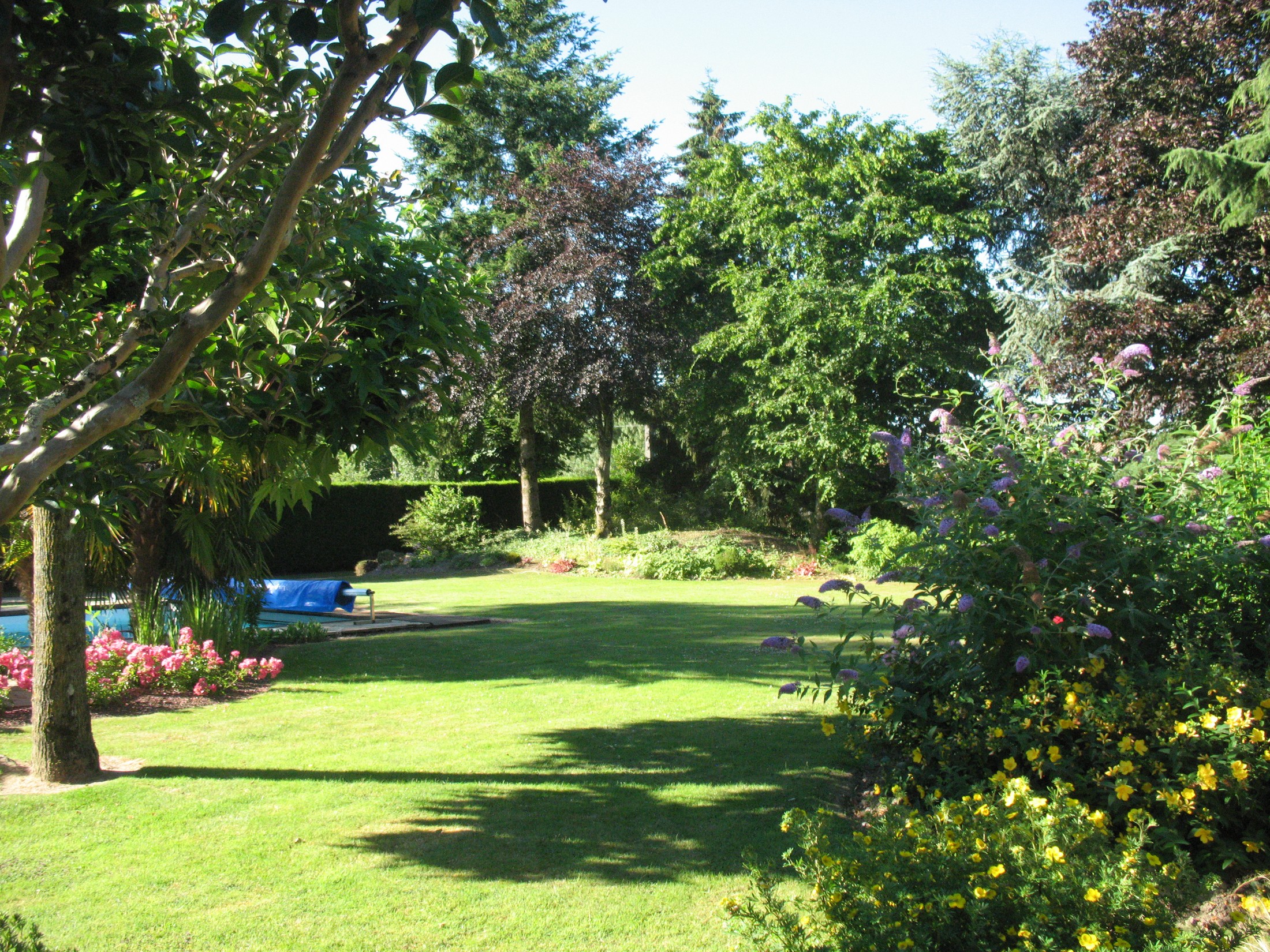 Chambres d'hôtes Le Mûrier, Bressuire - photo 3