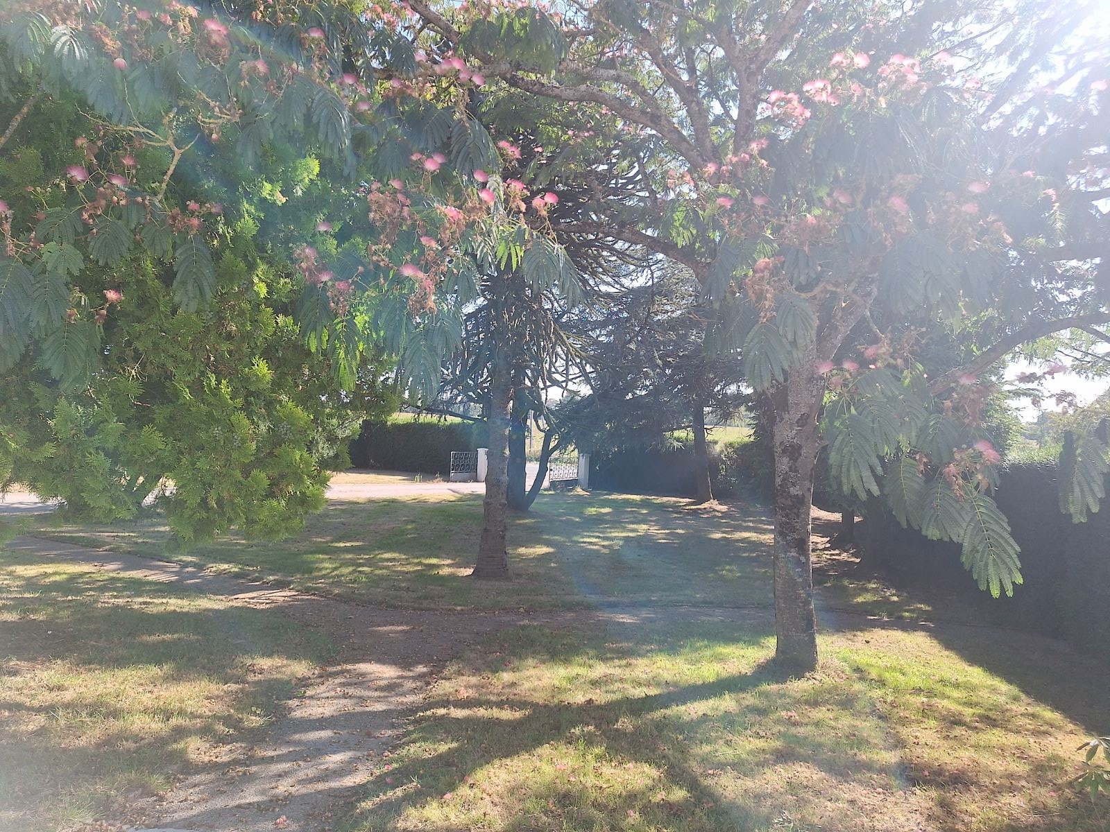 Gîte de Jouvence, Bressuire - photo 13