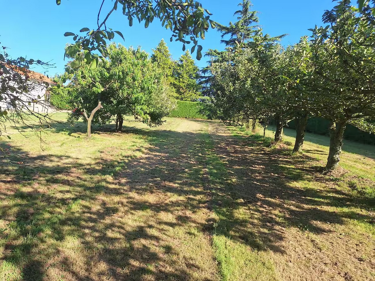 Gîte de Jouvence, Bressuire - photo 6
