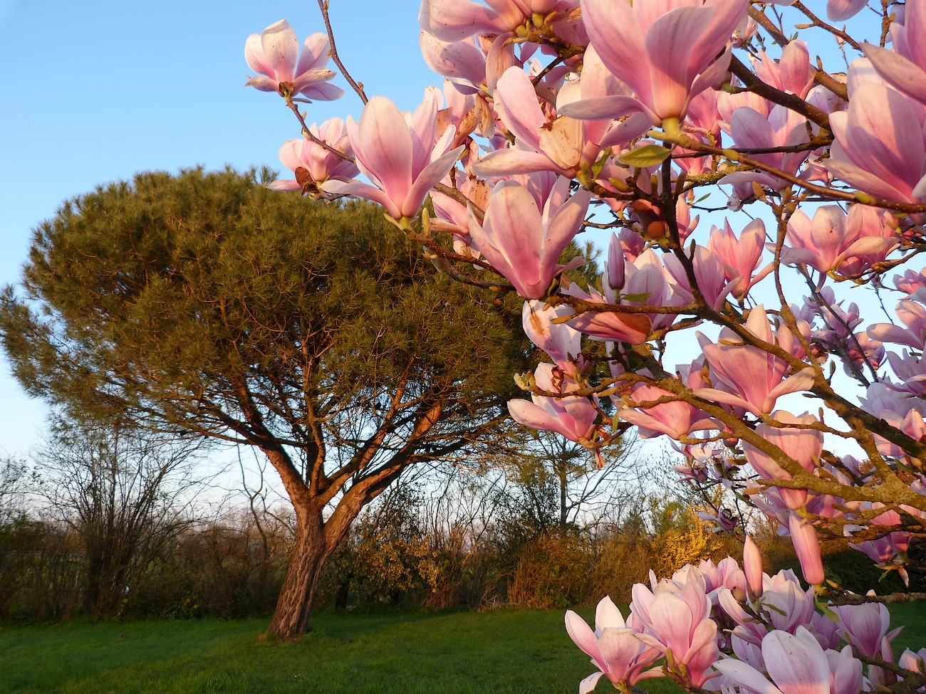 Gîte "La Maison de Louise", Bressuire - photo 4