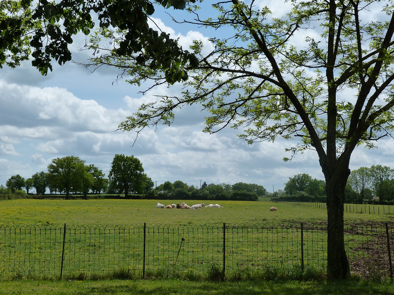 Gîte "La Maison de Louise", Bressuire - photo 8