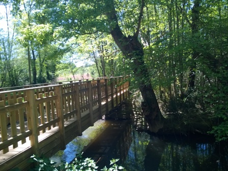 Lac et réserve ornithologique du Broussau, Aire-sur-l'Adour - photo 9