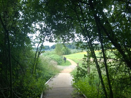 Lac et réserve ornithologique du Broussau - photo 3