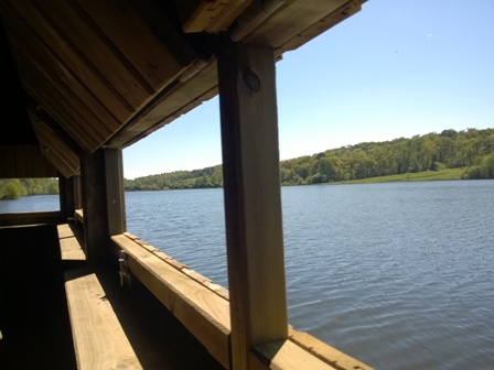 Lac et réserve ornithologique du Broussau, Aire-sur-l'Adour - photo 7