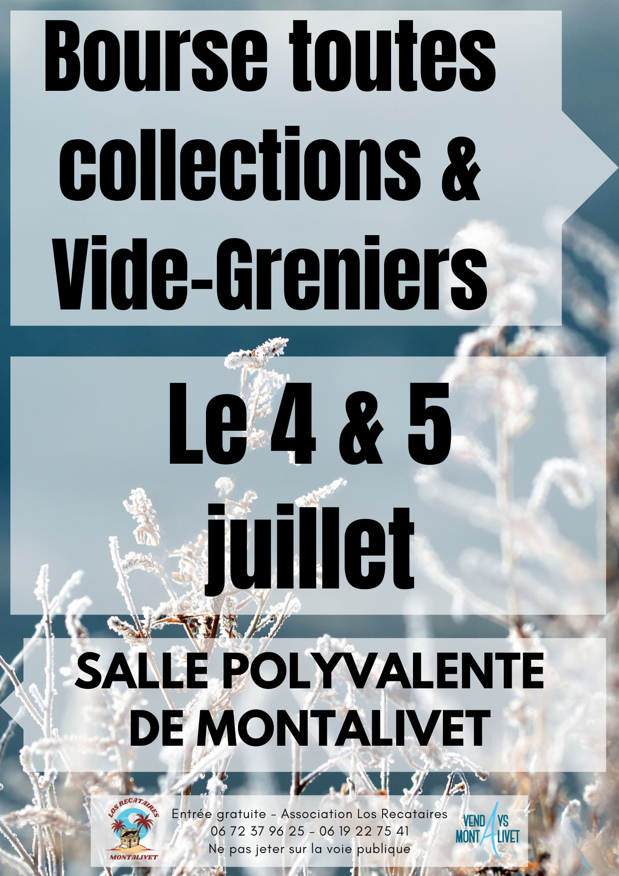 Bourse toutes collections et vide-greniers