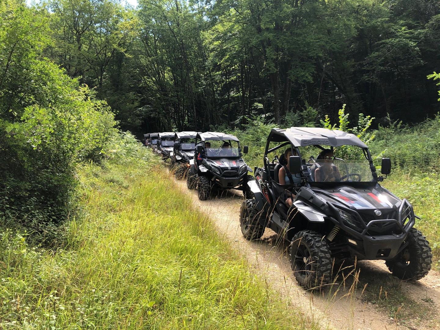 Buggy Rando, Jayac - photo 10