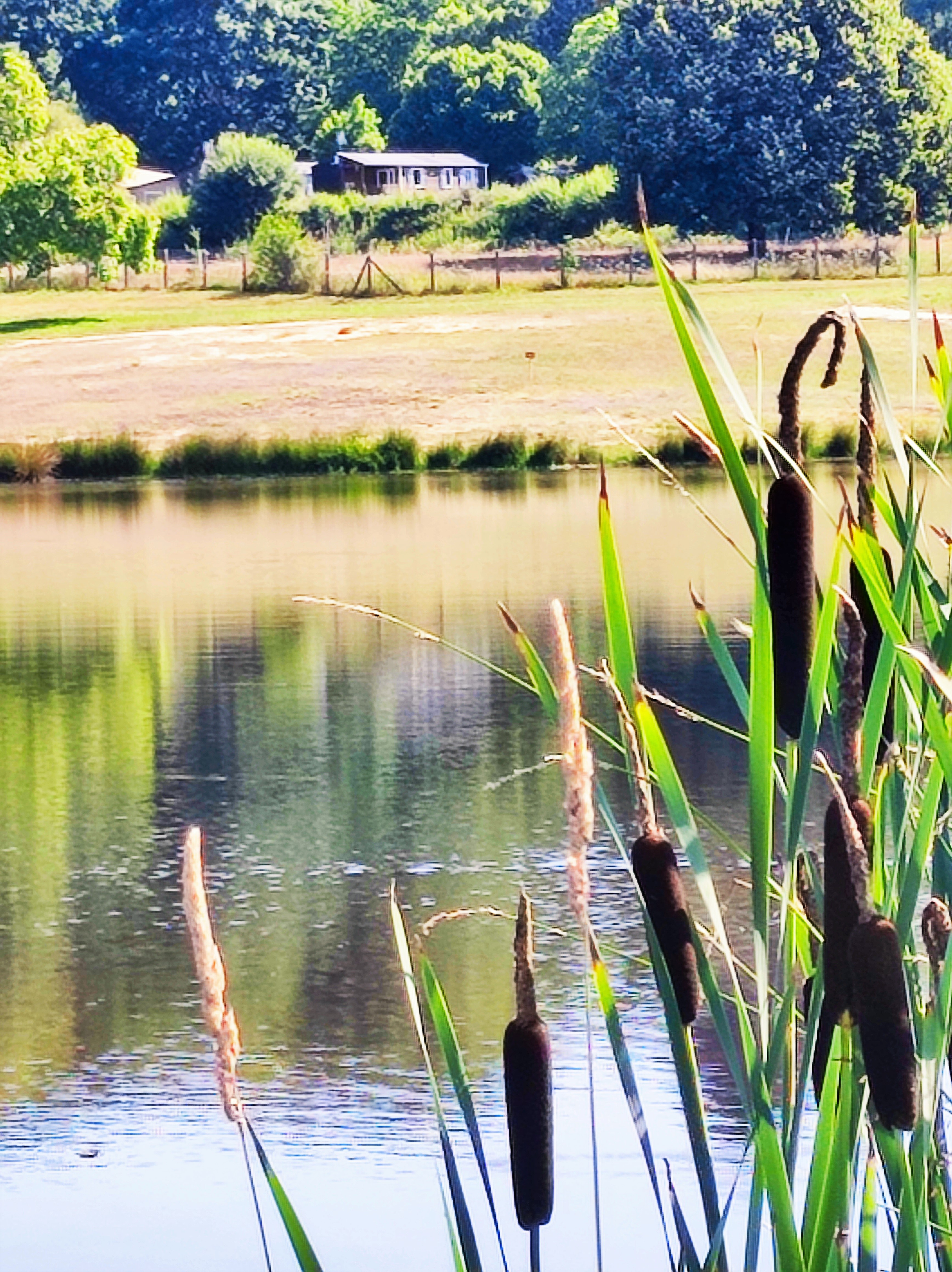 Camping L'Ecrin Nature - photo 3