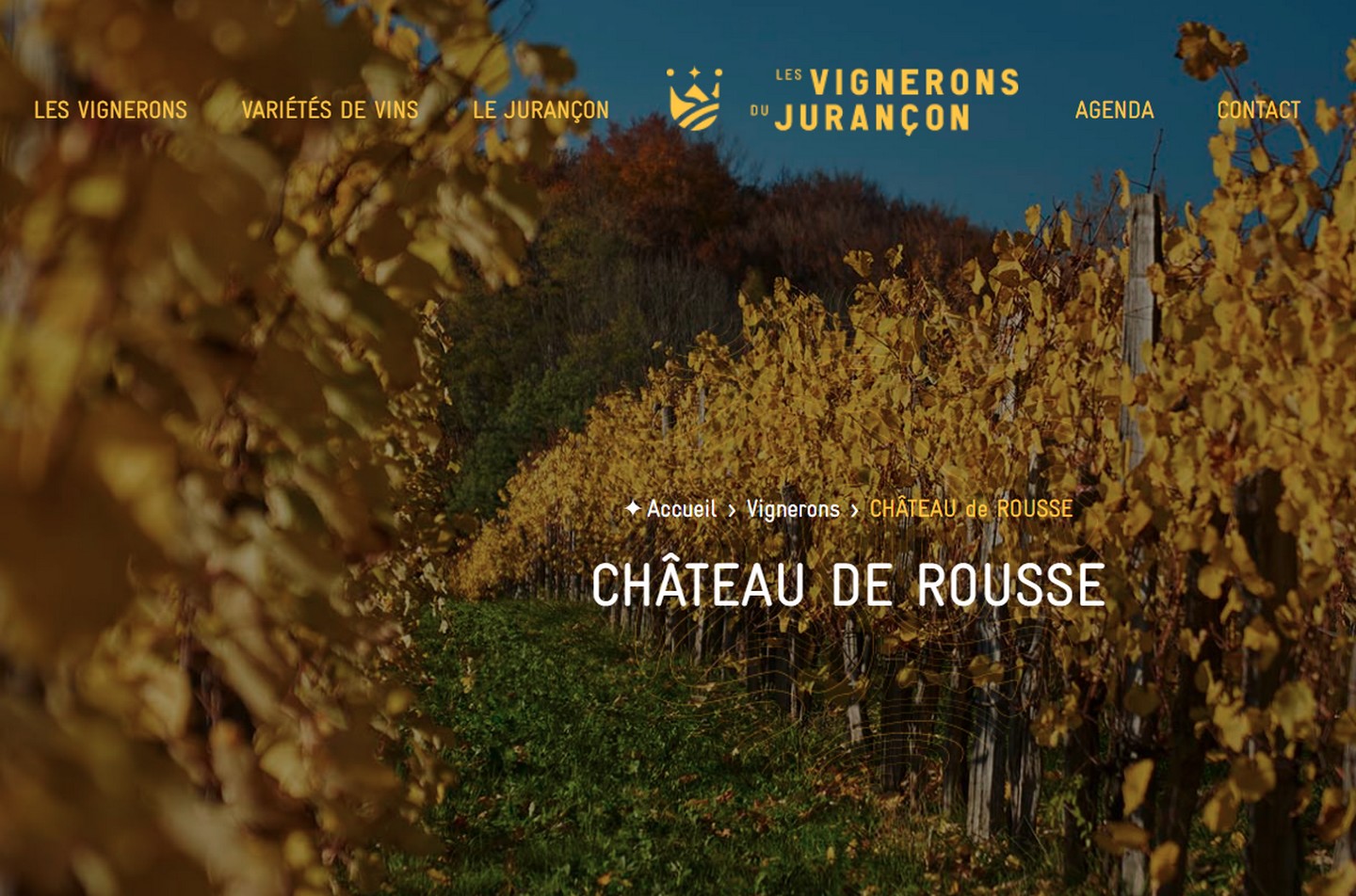 Château de Rousse — photo 2