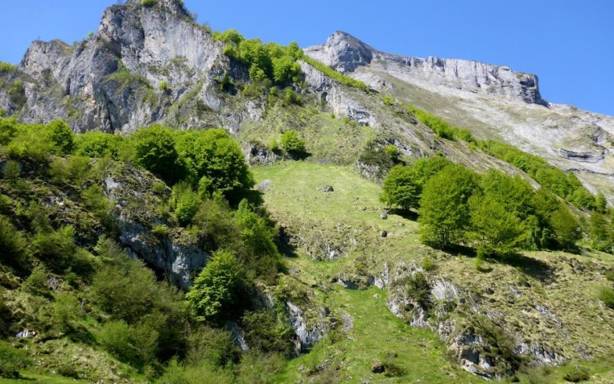 Image de présentation du lieu