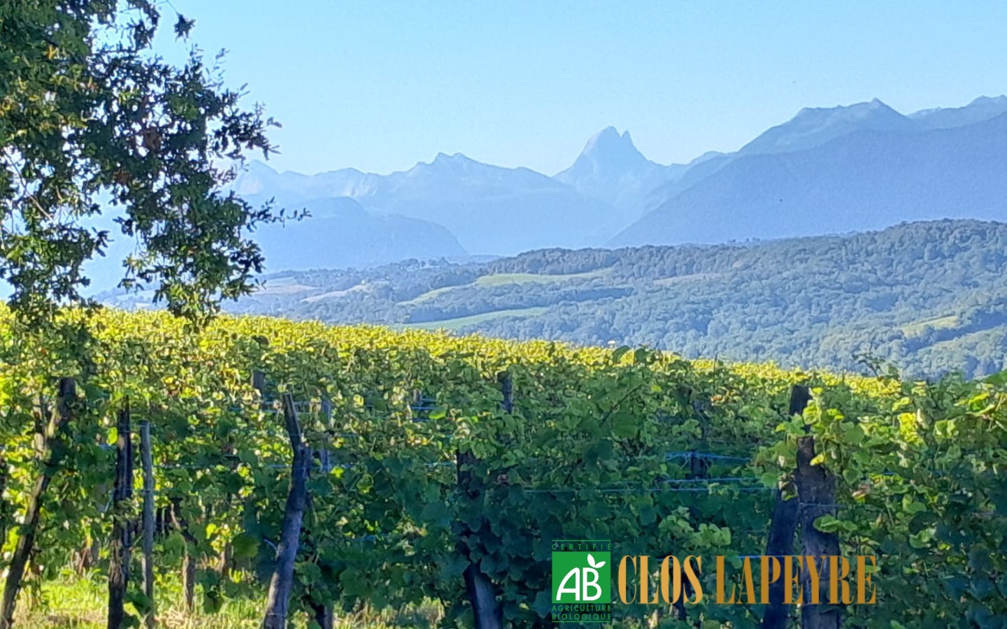 Clos Lapeyre - photo 3