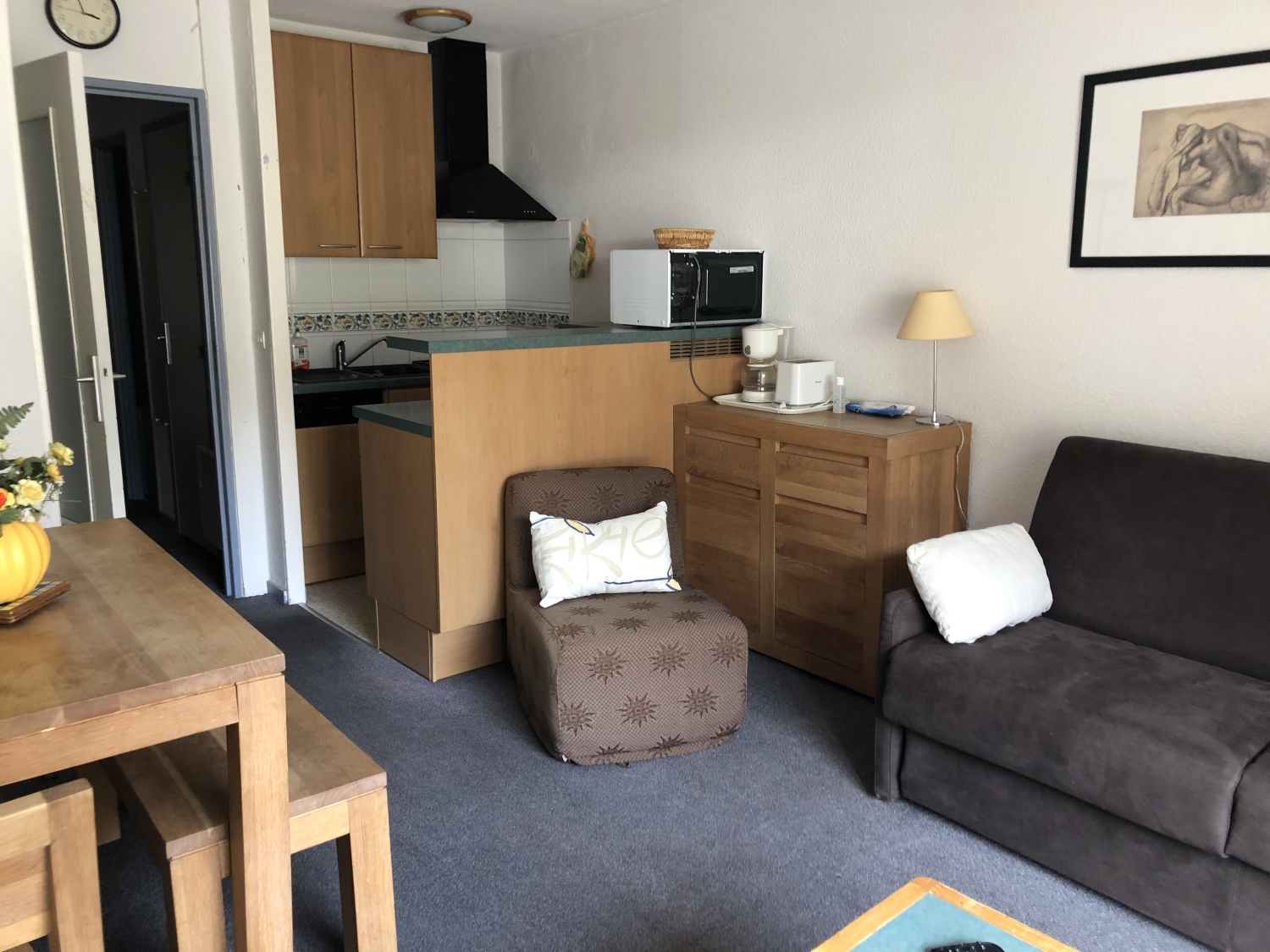 Agence Barroso - Marmottes Mar-C1 - photo 5