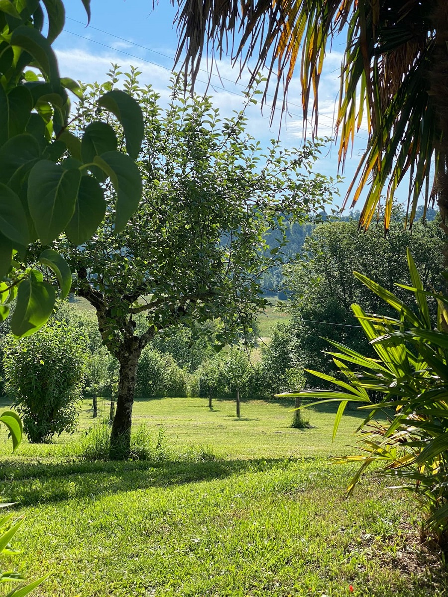 Domaine Maribo, Saint-Astier - photo 2