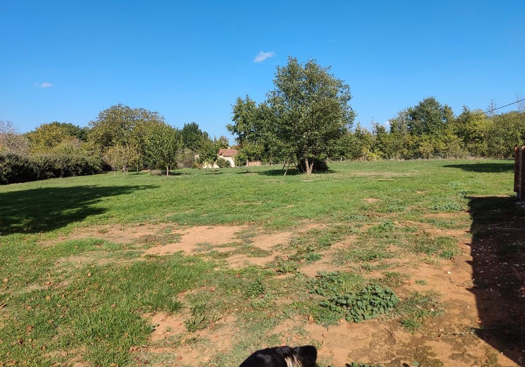 Les gîtes de Louise : Le Gîte Pierre, Archignac - photo 3