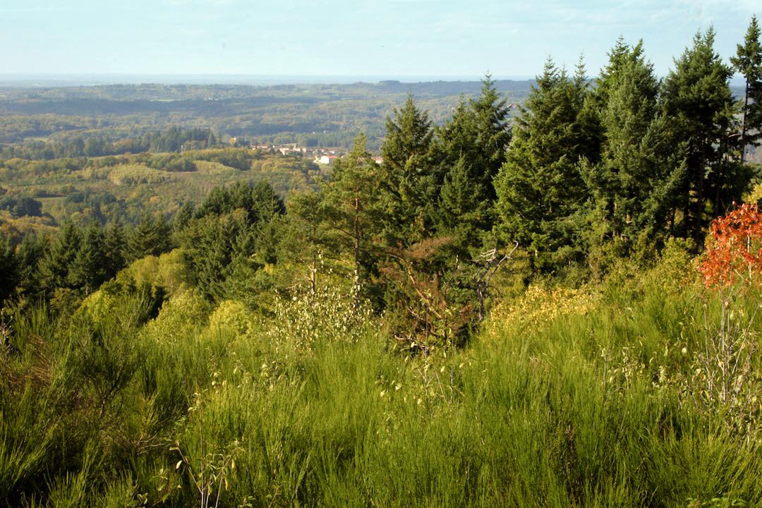 Le sentier des crêtes