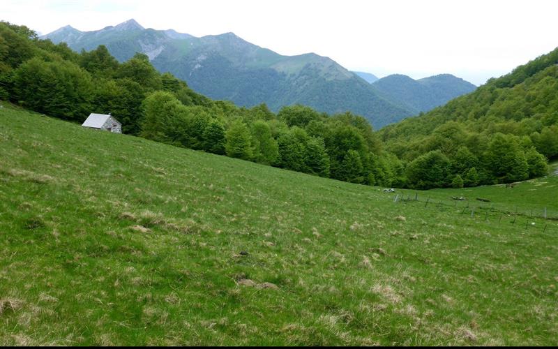 Le Belvédère du Monbula