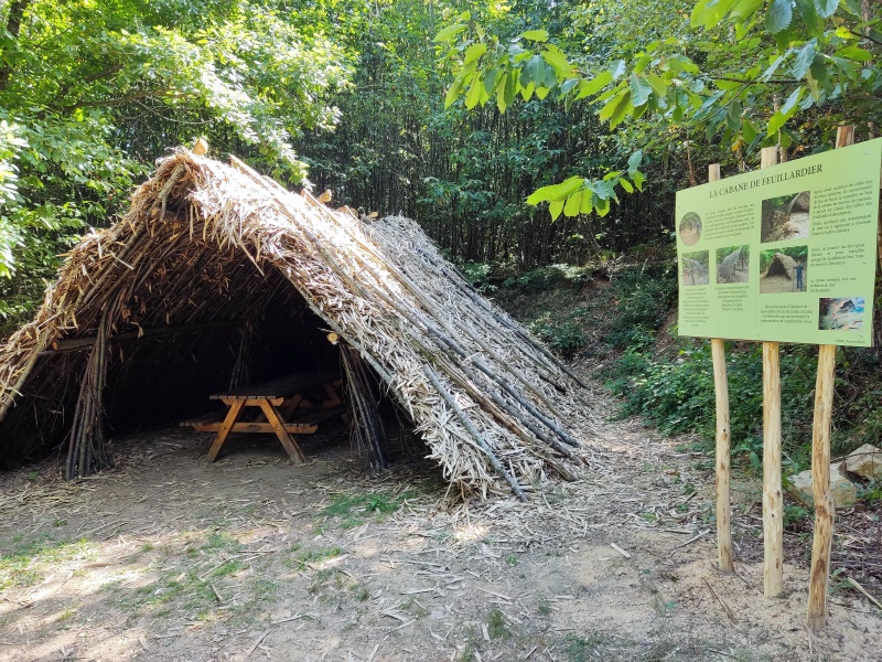 Circuit La forêt de Boubon — photo 3