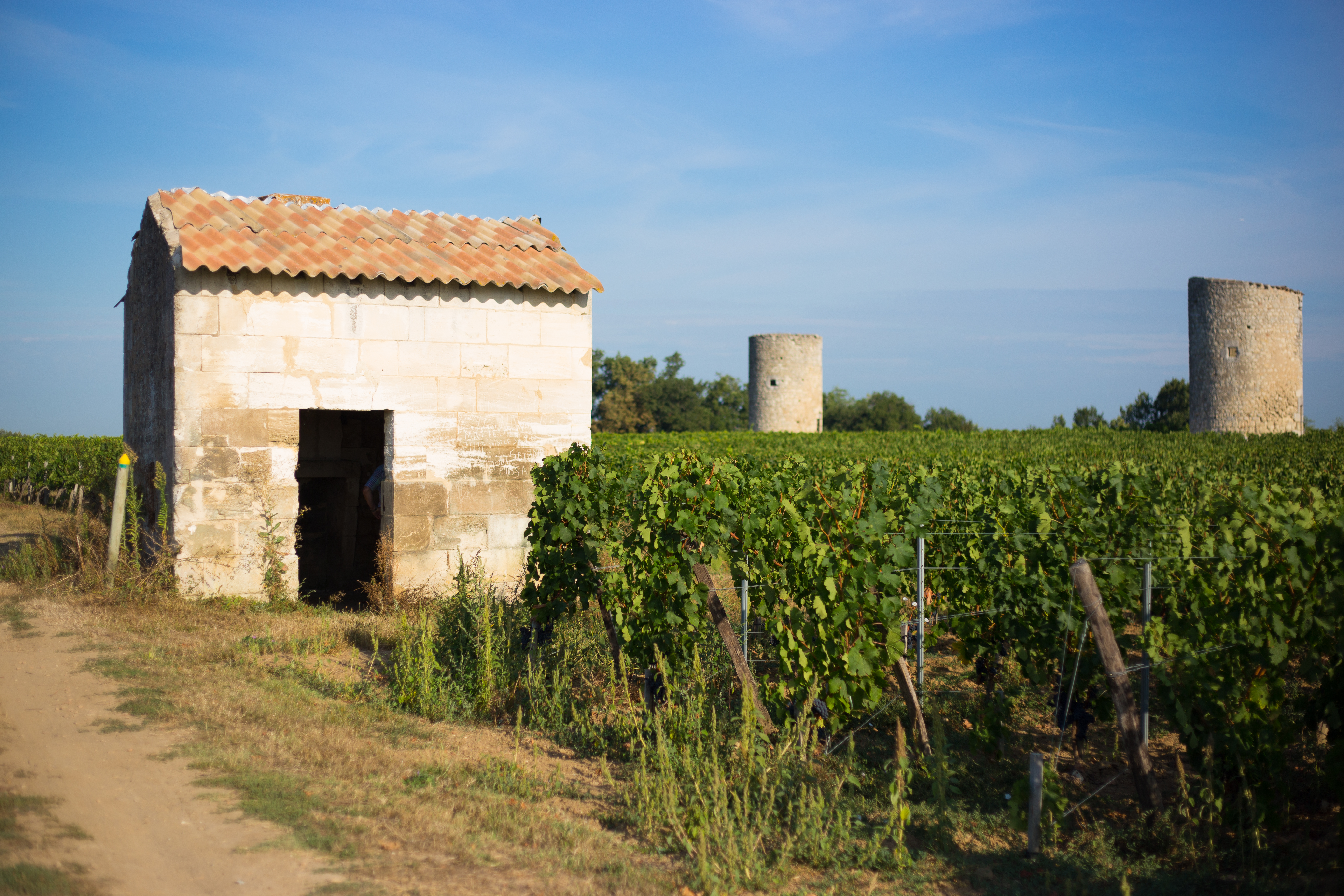 Boucle des Coteaux, Saint-Aignan - photo 3
