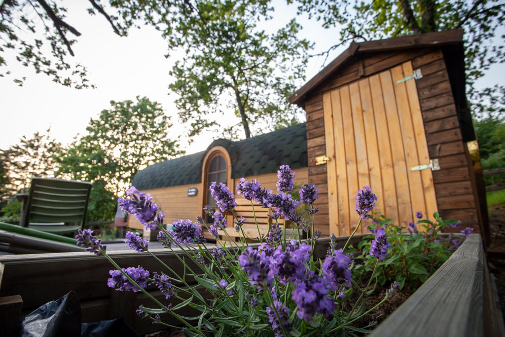 Les cabanes au bord du monde - La Cabane inattendue - photo 3