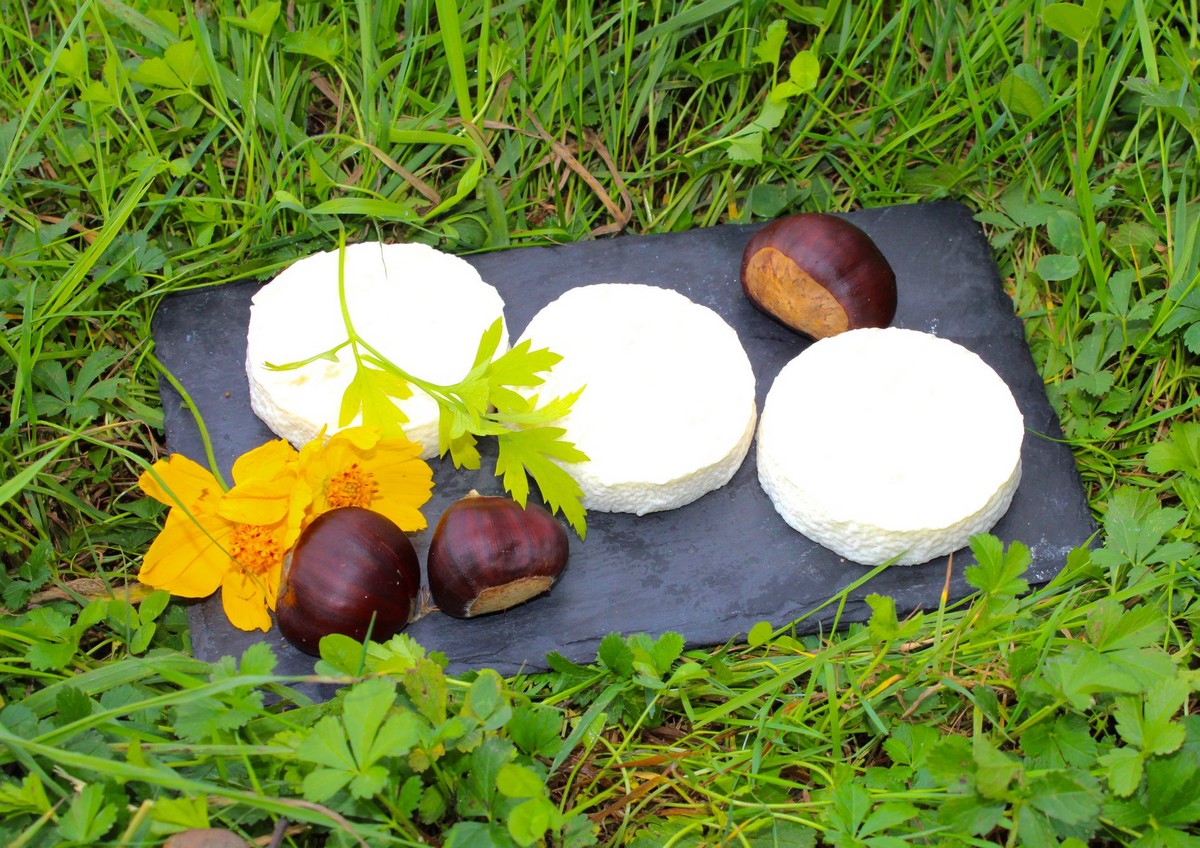 Gîte de la Chèvrerie, Grignols - photo 10