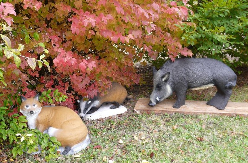 Le Bel Oiseau Tir à l'Arc sur cible 3D - photo 2