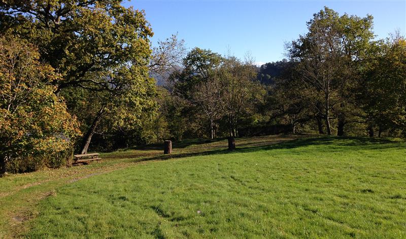 Camping à la ferme Sobieta