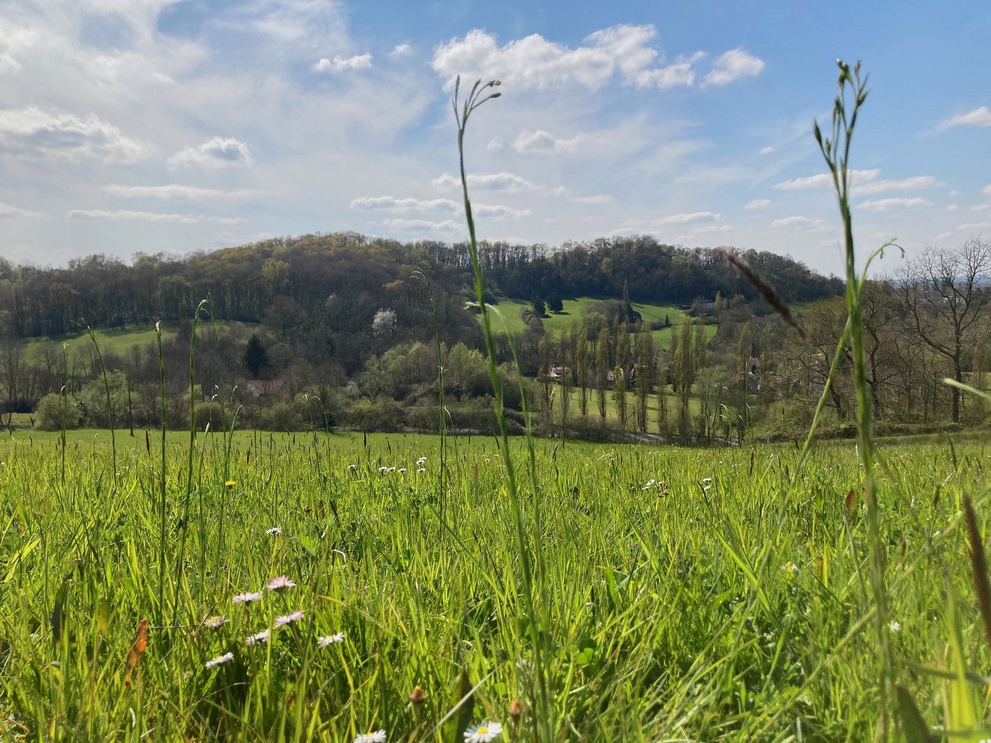 Domaine Labouroume, Salies-de-Béarn - photo 6