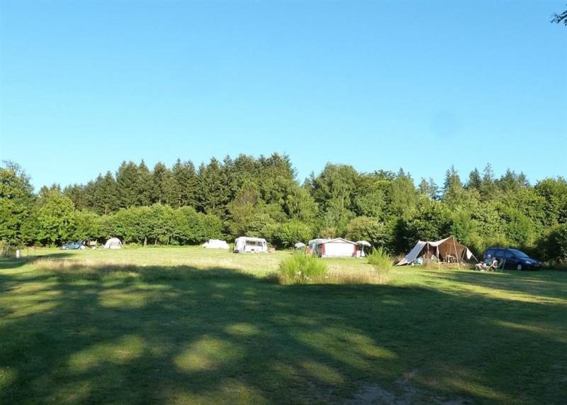 Aire Naturelle de camping d'Iraty
