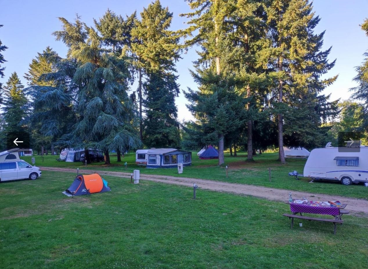 Aire de pique nique - Camping de Saint-Pierre-de-Maillé - photo 3