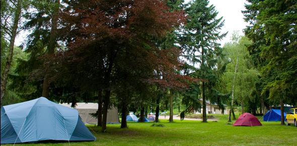 Camping Le Grand Pré, Saint-Pierre-de-Maillé - photo 6