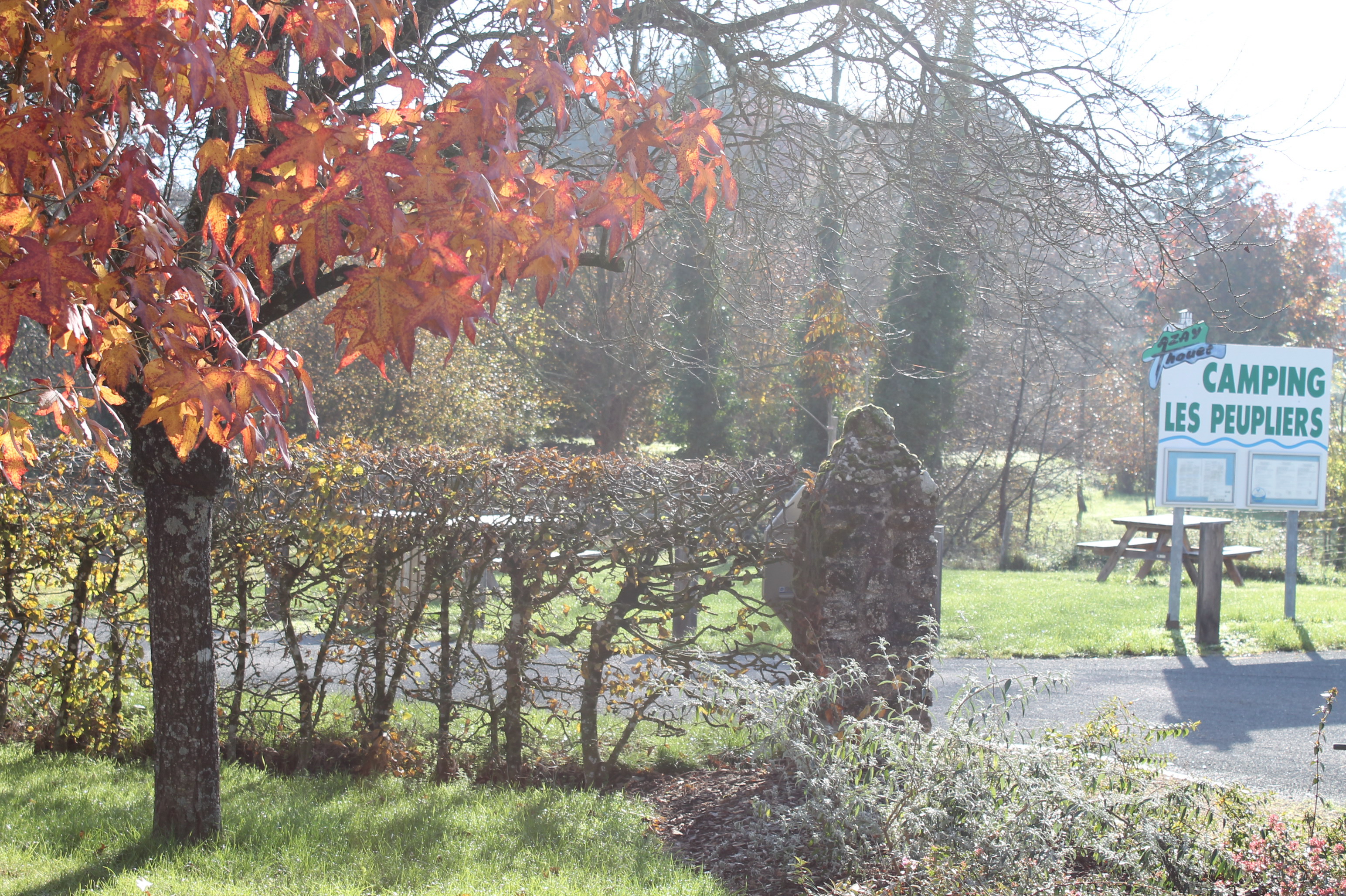 Aire de camping - camping car-park / Camping Les Peupliers - photo 2