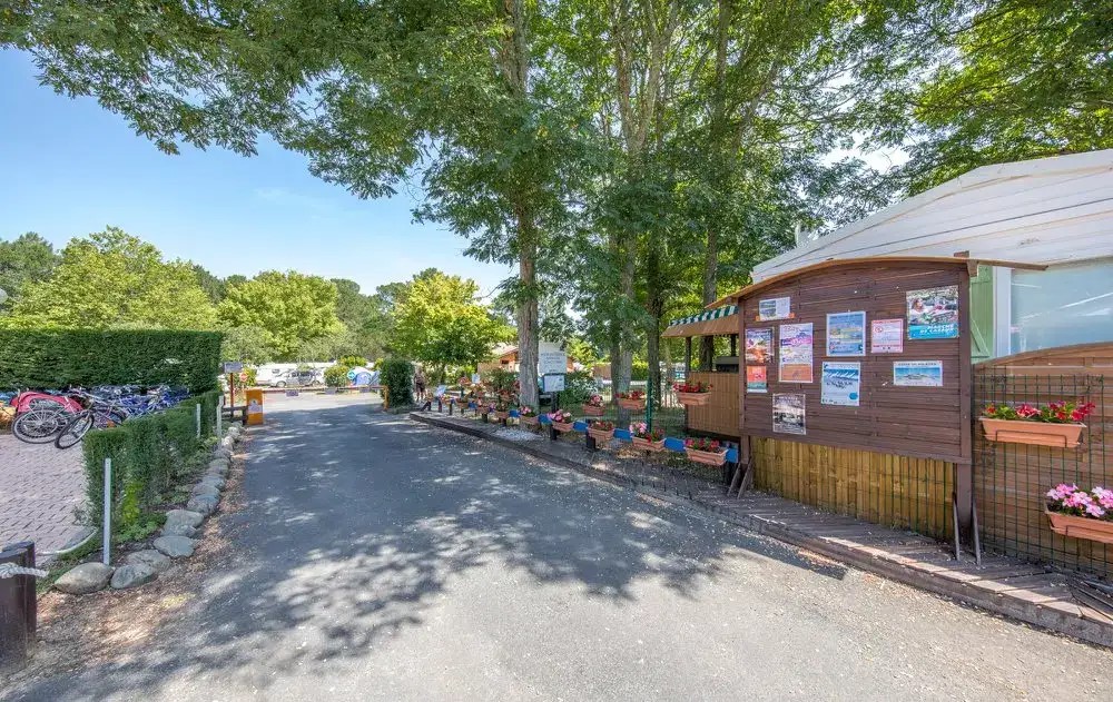 Camping Bel Air Lac de Cazaux