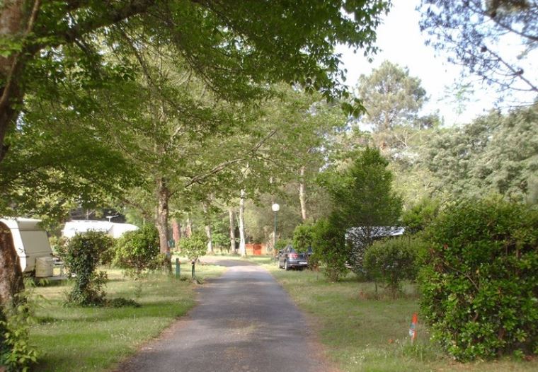 Camping Bel Air Lac de Cazaux