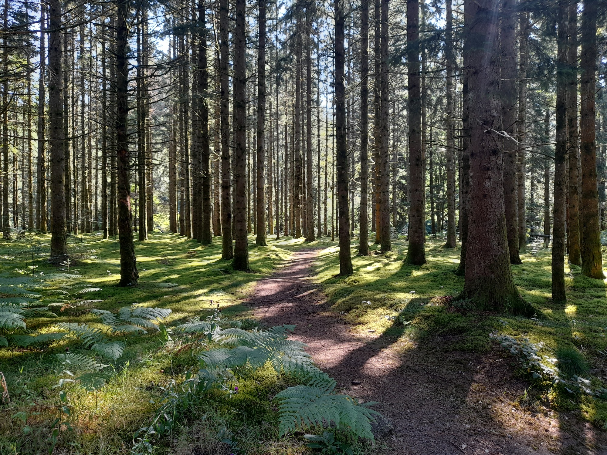 Camping Aux portes des Mille Sources, Bugeat - photo 11