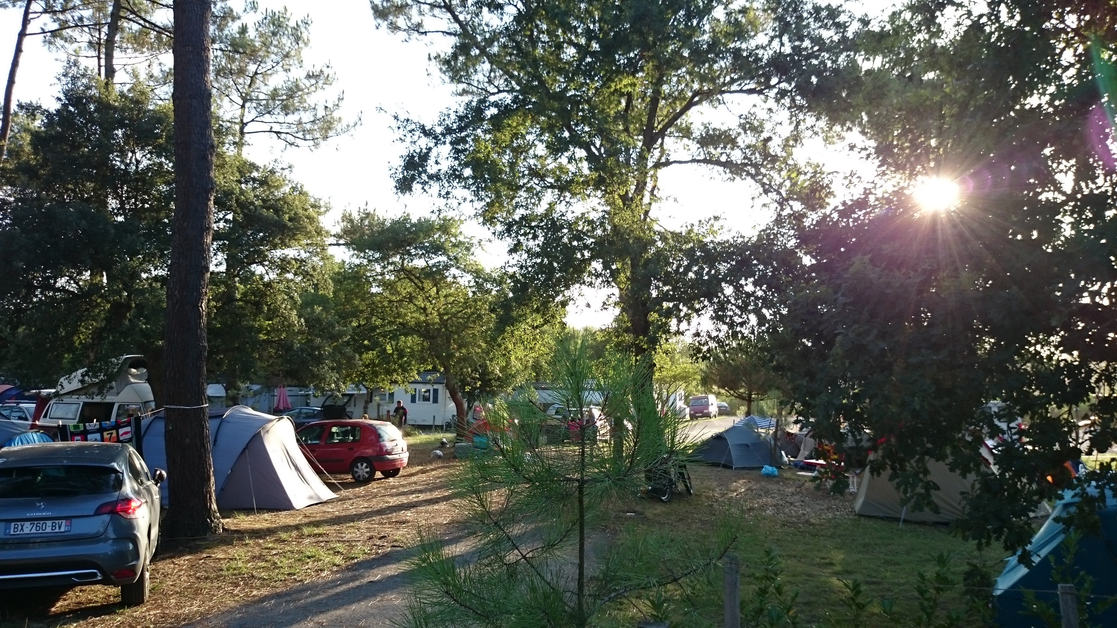 Camping Albret Paradis