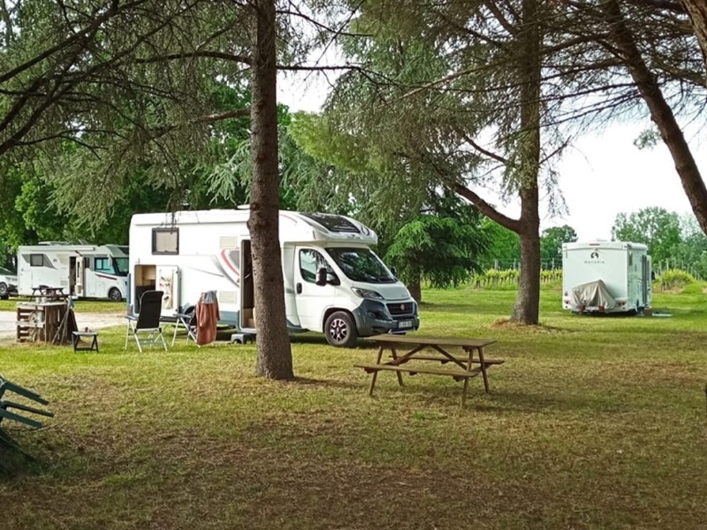 Aire de camping-cars du Domaine de Brandeau - photo 3