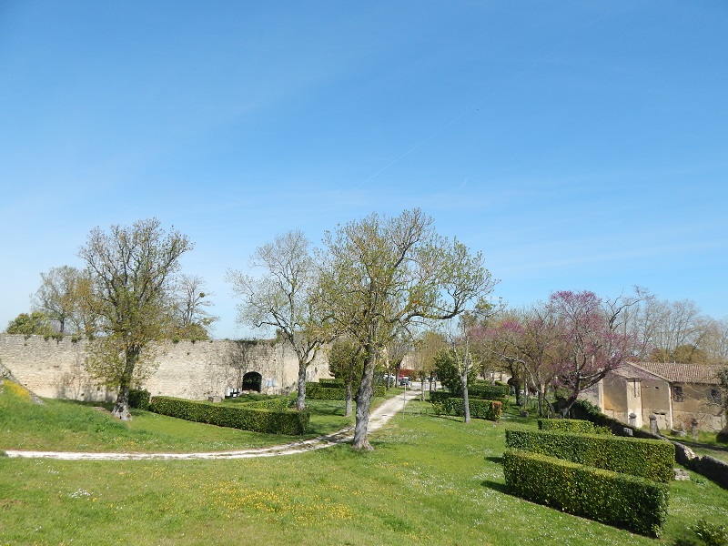Camping municipal La Citadelle, Blaye - photo 6