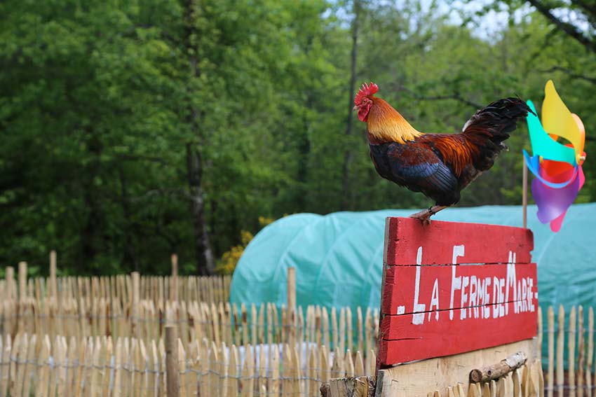 Domaine du Coq Rouge, camping naturiste, Collonges-la-Rouge - photo 13
