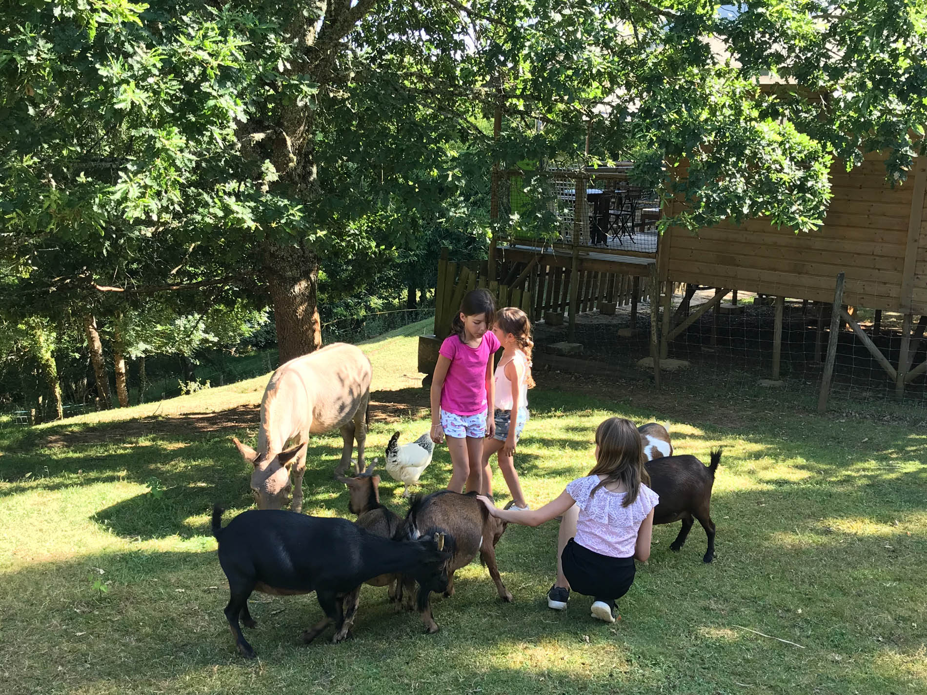 Camping L'Offrerie, Rouffignac-Saint-Cernin-de-Reilhac - photo 9