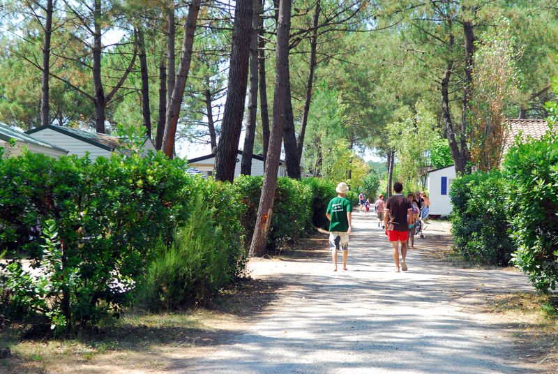 Camping La Pinèda