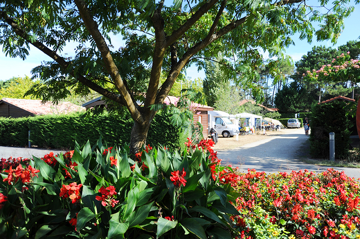 Camping Le Moussaillon, Messanges - photo 10