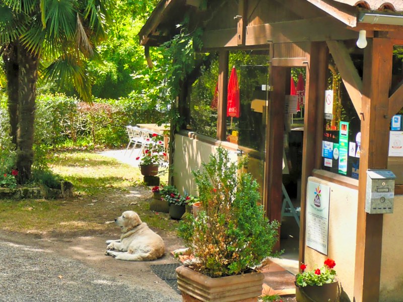 Camping Le Pech de Caumont, Cénac-et-Saint-Julien - photo 6
