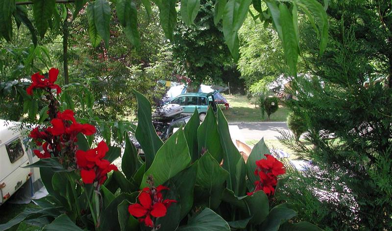 Camping Uhaitza Le Saison