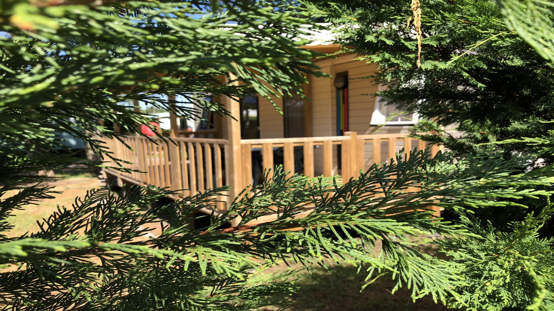 Camping Les Echasses - photo 5