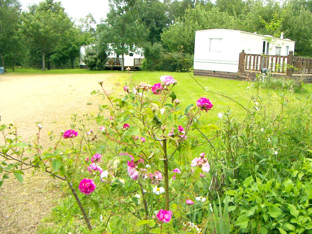 Camping municipal des Combes - photo 3