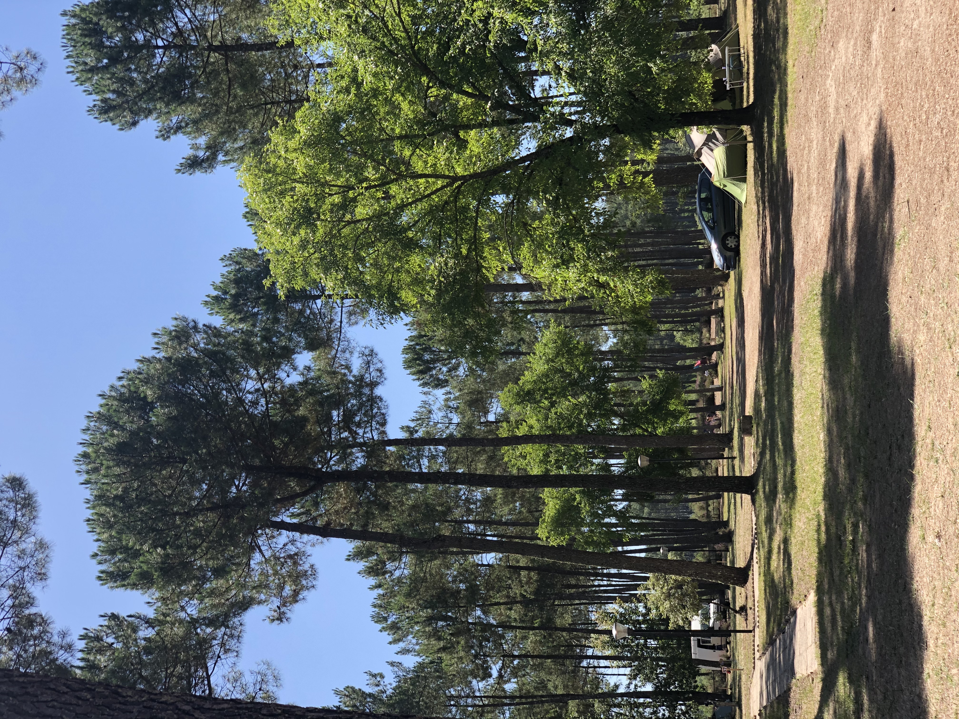 Camping L'Arriu, Pissos - photo 6