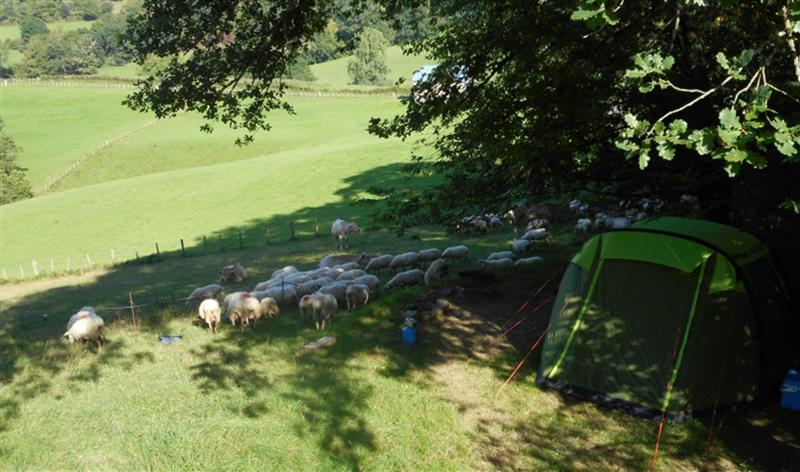 Camping à la ferme Sobieta